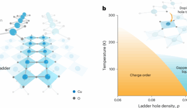 Symmetry-protected electronic metastability in an optically driven cuprate ladder