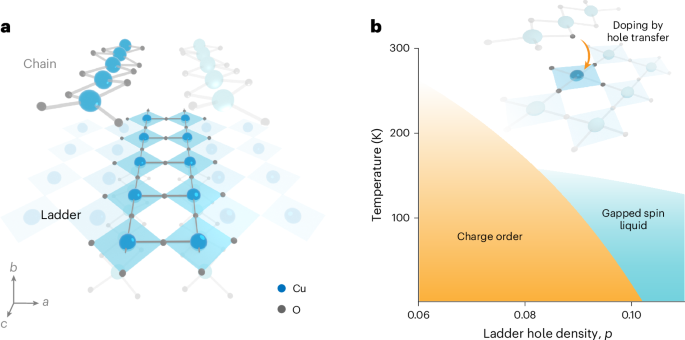 Symmetry-protected electronic metastability in an optically driven cuprate ladder