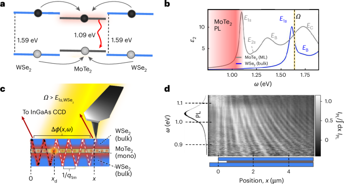 Van der Waals waveguide quantum electrodynamics probed by infrared nano-photoluminescence