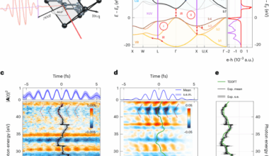 Attosecond virtual charge dynamics in dielectrics