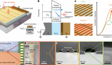 Plasmonic biosensor enabled by resonant quantum tunnelling