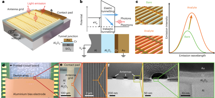 Plasmonic biosensor enabled by resonant quantum tunnelling