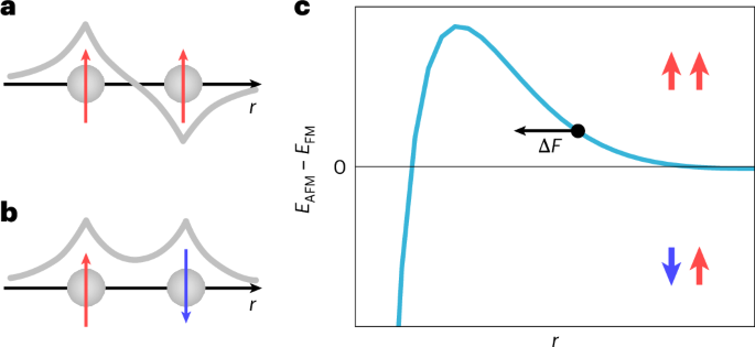 Emergent exchange-driven giant magnetoelastic coupling in a correlated itinerant ferromagnet