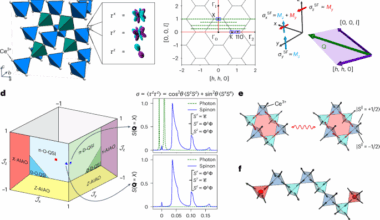 Neutron scattering and thermodynamic evidence for emergent photons and fractionalization in a pyrochlore spin ice