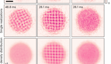 Supersolid-like sound modes in a driven quantum gas