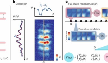 Experimentally probing Landauer’s principle in the quantum many-body regime