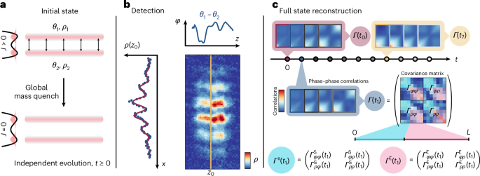 Experimentally probing Landauer’s principle in the quantum many-body regime