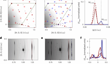 Dynamic phase transition in 1T-TaS2 via a thermal quench