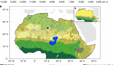 Ancient DNA from the Green Sahara reveals ancestral North African lineage