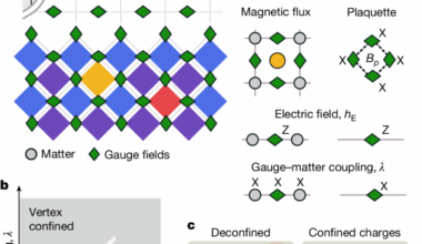 Visualizing dynamics of charges and strings in (2 + 1)D lattice gauge theories