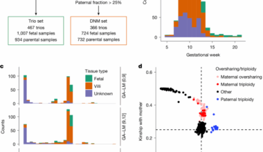 Sequence diversity lost in early pregnancy