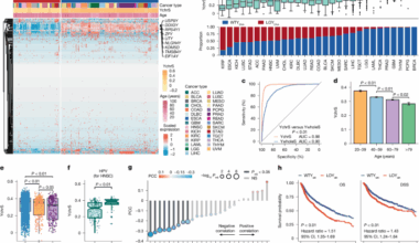 Concurrent loss of the Y chromosome in cancer and T cells impacts outcome