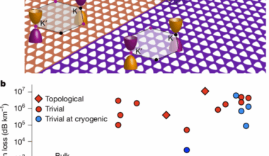 A soft-clamped topological waveguide for phonons
