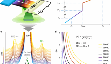 Probing phonon transport dynamics across an interface by electron microscopy