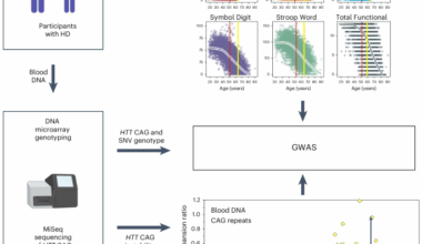 Genetic modifiers of somatic expansion and clinical phenotypes in Huntington’s disease highlight shared and tissue-specific effects