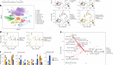 Single-cell and spatial transcriptomics of stricturing Crohn’s disease highlights a fibrosis-associated network