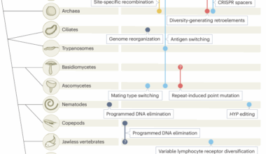 How and when organisms edit their own genomes