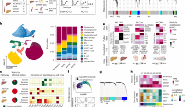 Single-cell eQTL analysis identifies genetic variation underlying metabolic dysfunction-associated steatohepatitis