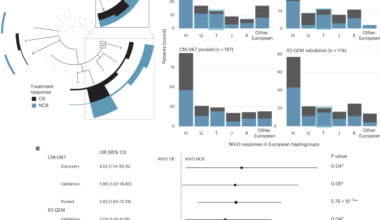 Inherited mitochondrial genetics as a predictor of immune checkpoint inhibition efficacy in melanoma