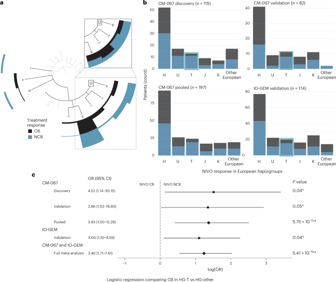 Inherited mitochondrial genetics as a predictor of immune checkpoint inhibition efficacy in melanoma