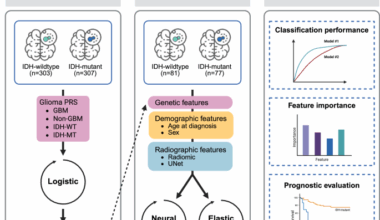 Integration of MRI radiomics and germline genetics to predict the IDH mutation status of gliomas