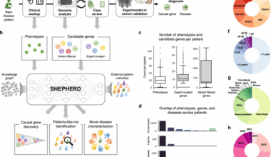Few shot learning for phenotype-driven diagnosis of patients with rare genetic diseases