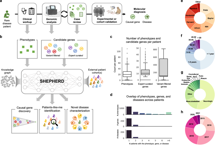 Few shot learning for phenotype-driven diagnosis of patients with rare genetic diseases