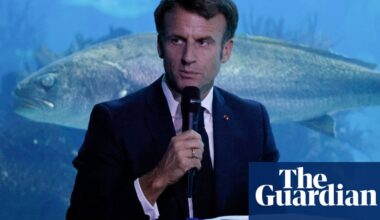 ‘It’s goodbye to French fishermen’: Macron under pressure as crucial UN ocean summit opens | Oceans