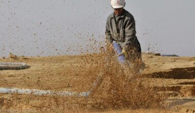 China proposes 'green channel' to export strategic minerals to EU