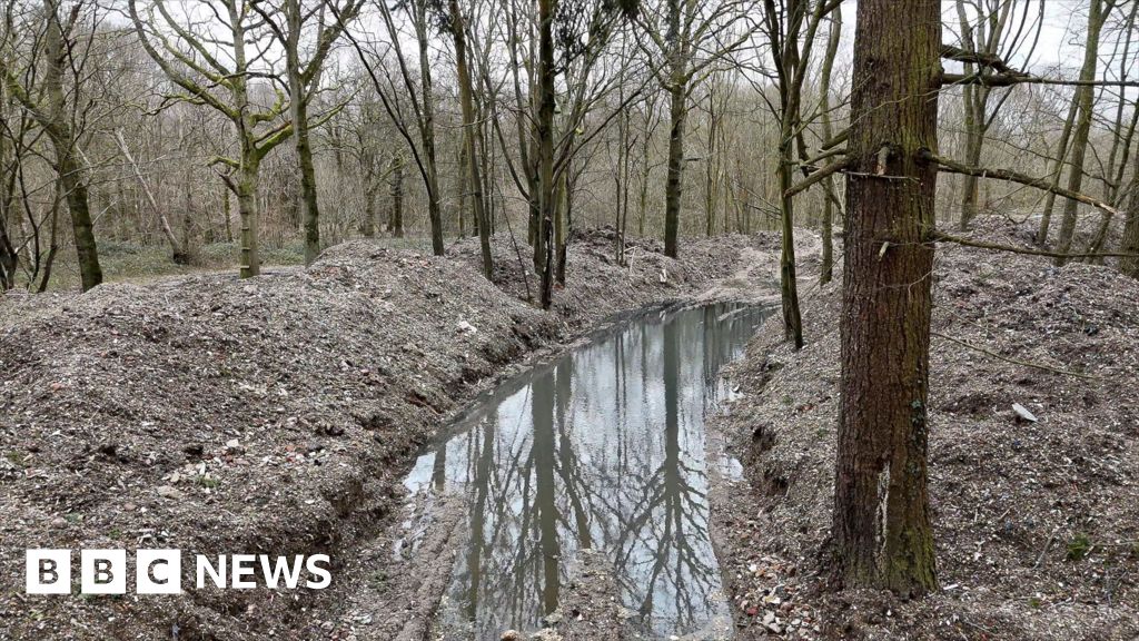 Illegal waste clearance begins at Hoads Wood in Kent