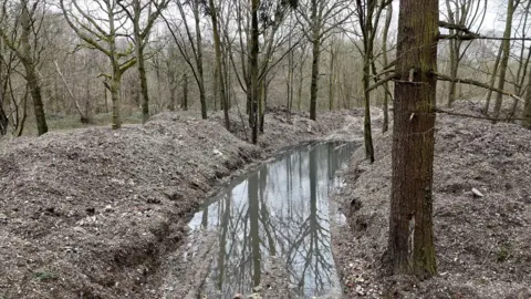 BBC A woodland area, with piles of waste
