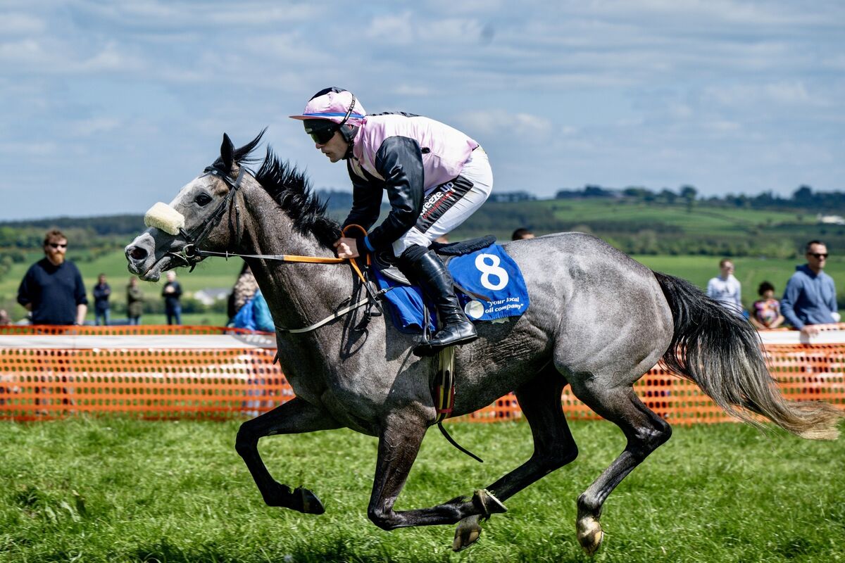 Fortuenville, ridden by R. James, trained by Anne Marie Ryan, owned by the Monbeg Partnership, wins the third race at the Muskerry Point to Point in Dawstown at odds of 12/1.