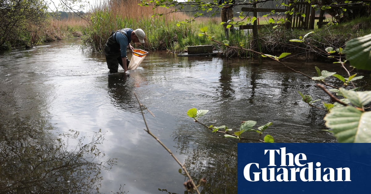 England’s rivers ‘under threat’ as water extraction surges to record levels | Rivers