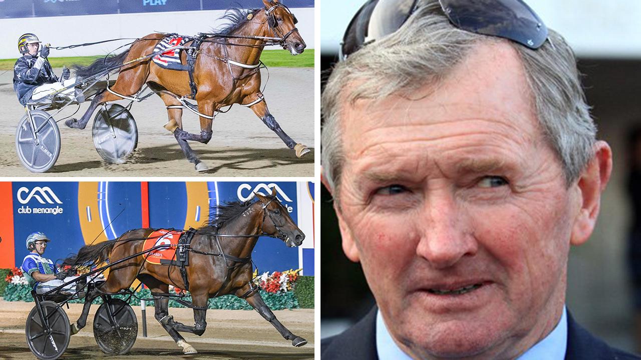 Hall of Fame thoroughbred trainer John Hawkes has a keen interest in harness racing, with his three-year-old Seathestars (top left) a potential Queensland Derby contender. Hawkes also has a young prospect by 2021 Miracle Mile winner King Of Swing (bottom left). Pictures: Stuart McCormick, Club Menangle, File
