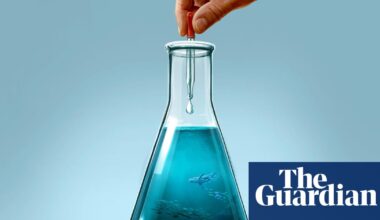 A drop in the ocean: does experimental technology hold the key to saving the world’s seas? | Geoengineering