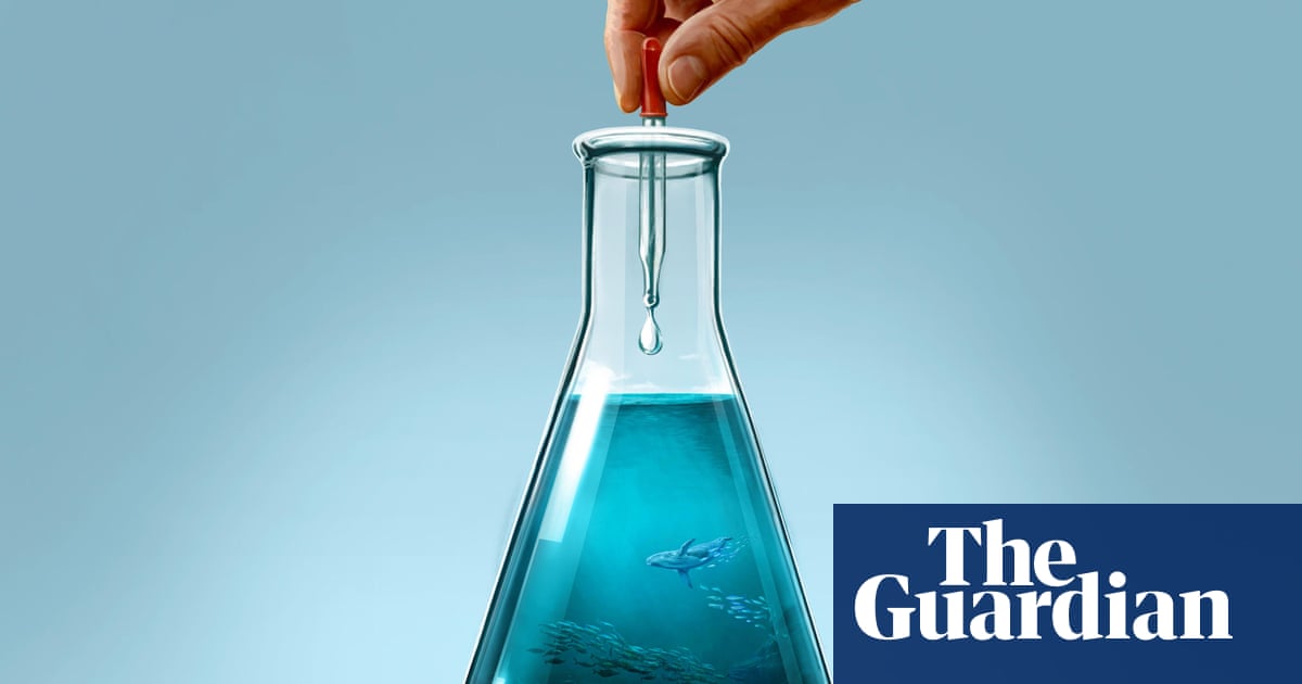 A drop in the ocean: does experimental technology hold the key to saving the world’s seas? | Geoengineering