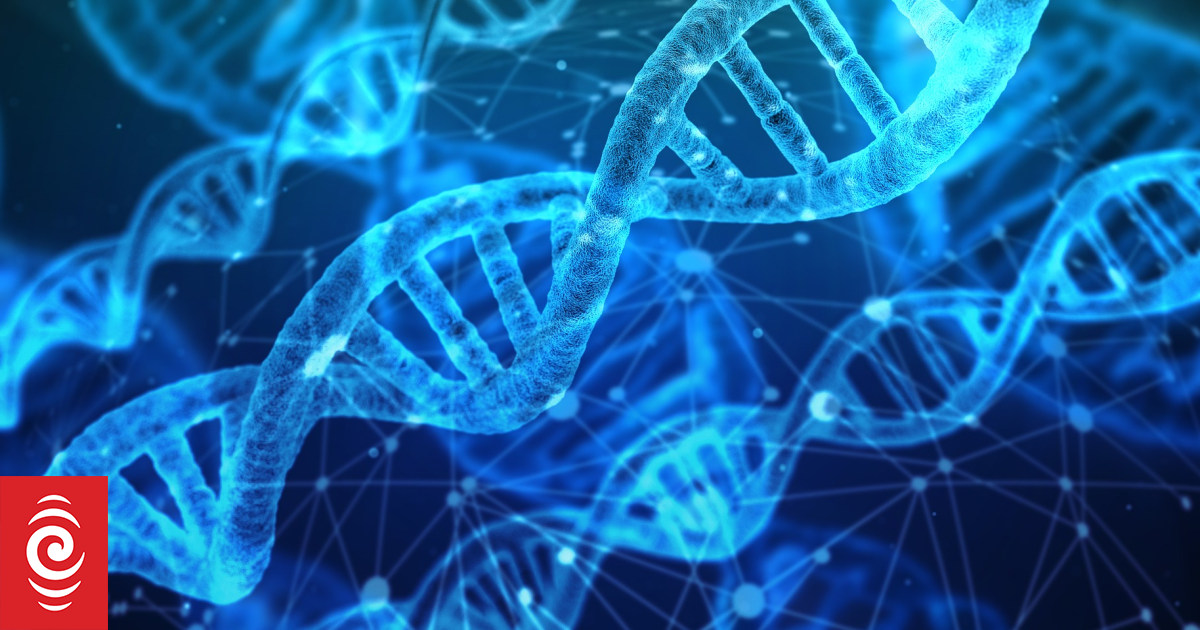Genetic marker found for rare children's brain disease