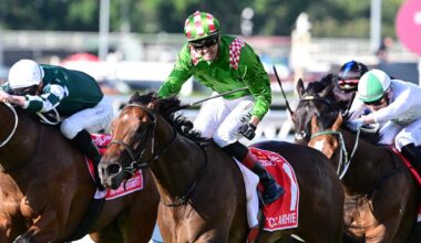 Martin Harley celebrates as Cool Archie takes out the Group 1 JJ Atkins at Eagle Farm on Saturday. Picture: Trackside Photography