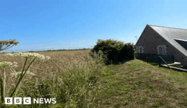 Stone house with multiple windows on the right, surrounded by a grassy lawn and an open field with tall grass and wildflowers under a clear blue sky.