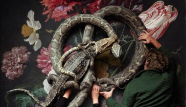 Taxidermists—prized by Damien Hirst—open museum in Amsterdam