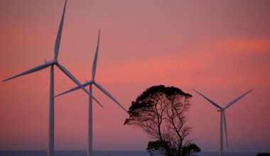Next EU climate target to allow carbon offsets from 2036, draft shows – POLITICO