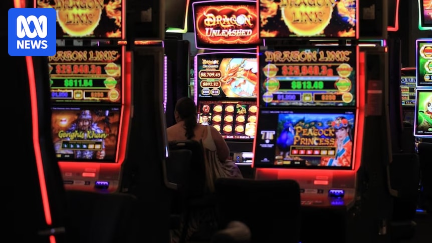 Cost of gambling harm in Victoria reaches $14 billion, with pokies behind most losses