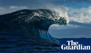 Australian government to declare almost a third of its oceans ‘highly protected’ in the next five years | Oceans