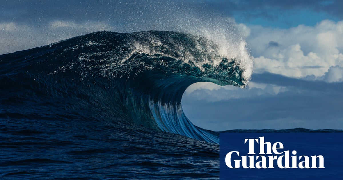 Australian government to declare almost a third of its oceans ‘highly protected’ in the next five years | Oceans