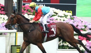 Ka Ying Rising will run in the HKJC