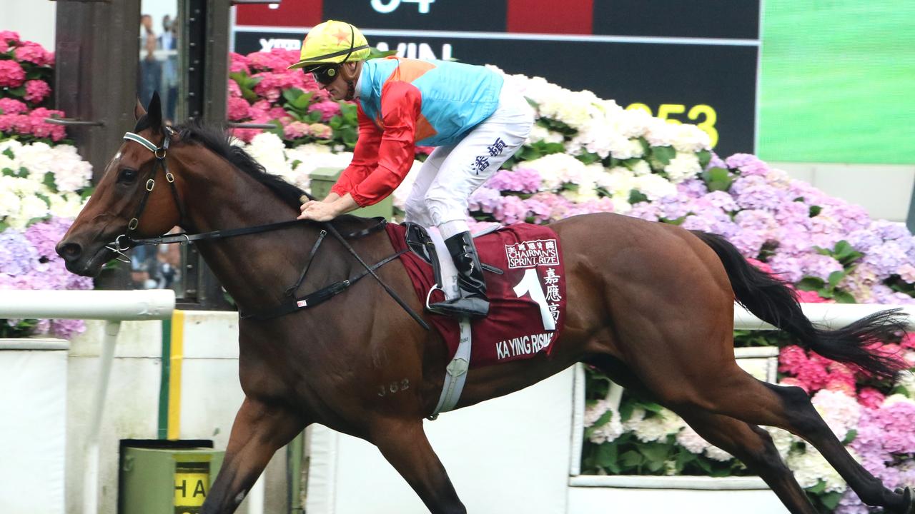 Ka Ying Rising will run in the HKJC