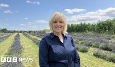 Surrey lavender farm finds weeding 'quite difficult' since Brexit