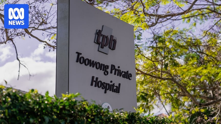 Toowong Private Hospital's purchase of artwork off director questioned by administrators