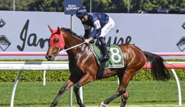 Kris Lees import Adelaide River returns this weekend after missing the autumn carnival. Picture: Getty Images