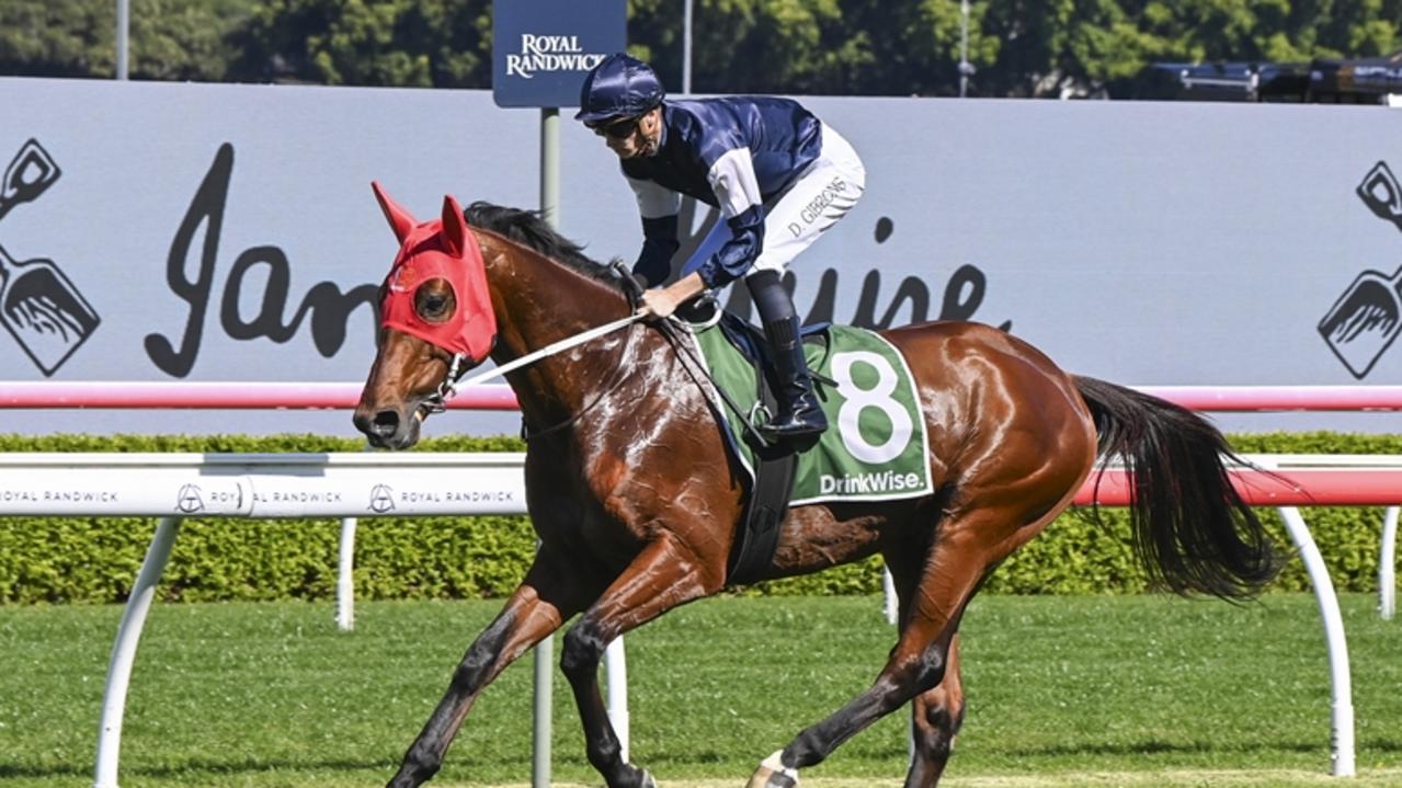 Kris Lees import Adelaide River returns this weekend after missing the autumn carnival. Picture: Getty Images